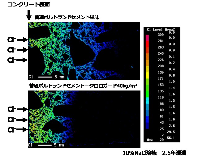 塩化物イオンのEPMA分析