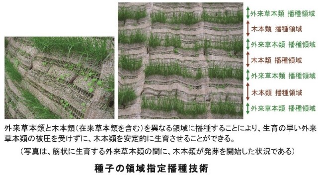 種子の領域指定播種