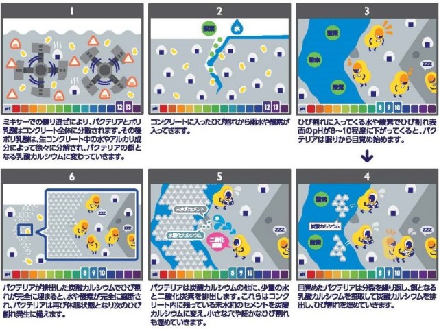 修復メカニズム.jpg