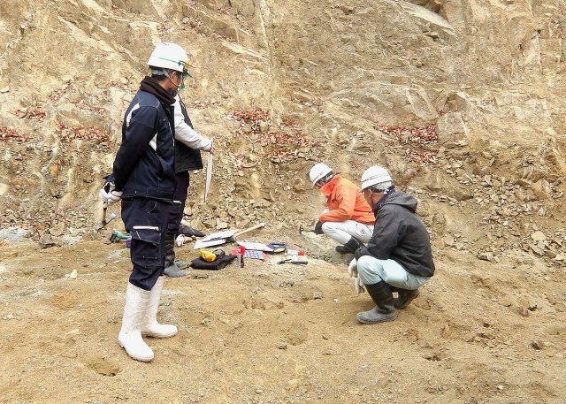 ① 現地踏査 (発注者立会の岩分類判定等)