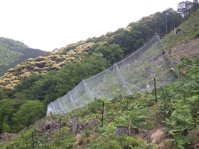 施工年度：2020年度　 発注者：宮崎児湯農林振興局　 工事名：令和2年度緊急予防治山事業 桐原　 施工延長：87.0m